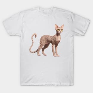 Devon Rex cat T-Shirt